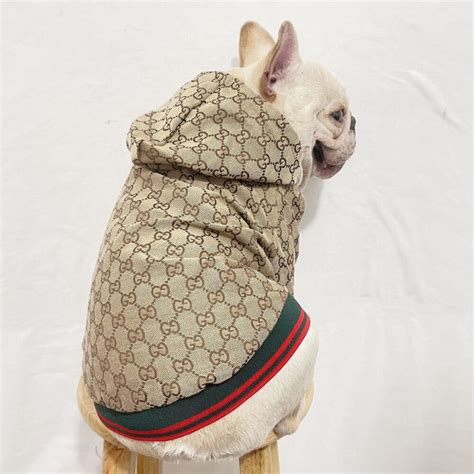 gucci coat blue|Gucci coats for pets.